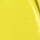 Lemon Yellow Hue